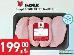 BAKPİLİÇ DONUK FİLETO TAVUK KG